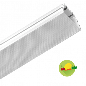 Megaline 70 Diffuser FRUIT